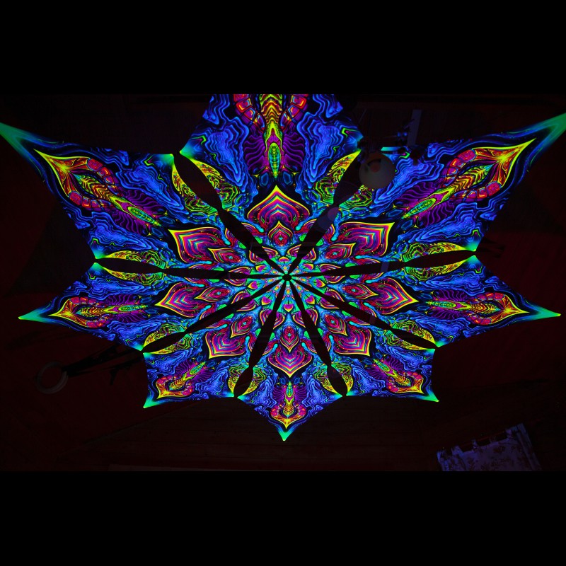 Festival Trippy Decor “Impressive Awakening”
