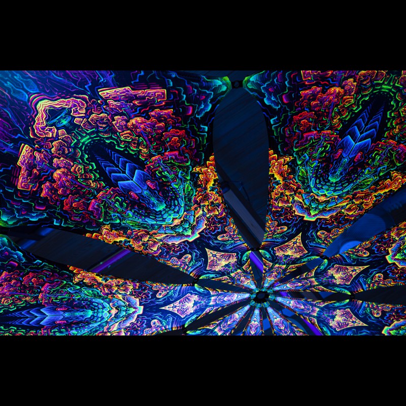 Psychedelic Canopy For Festivals "Quantum Particle"